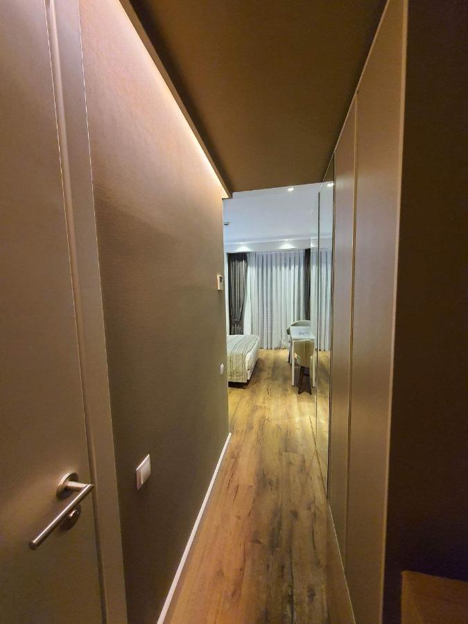 Luxury Apartment